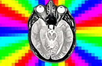 Clickbait Gives AI Models ‘Brain Rot,’ Researchers Find