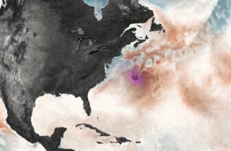 The Surprising Way Hurricanes Pump Carbon Into the Air—and Life Into the Ocean