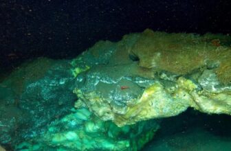 Scientists Found the Deepest Known Arctic Vent—and It’s Teeming With Life