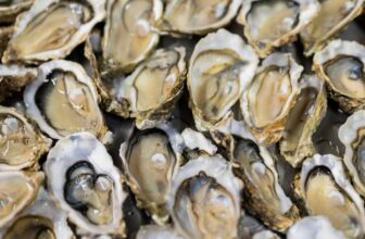 Raw Oysters Behind Salmonella Outbreak Sweeping Across the US, CDC Warns