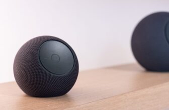 New Voice Assistants Are Officially a Whiff (for Now)