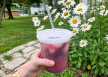 Easy Mocktails – Barefeet in the Kitchen
